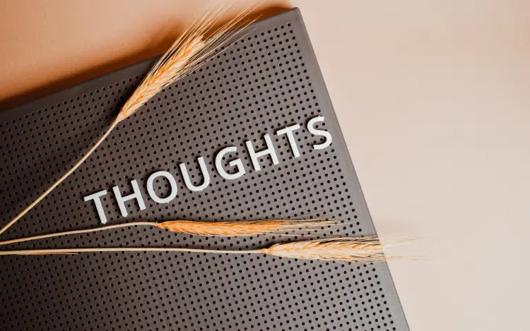Final Thoughts