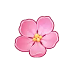 Flowers 1
