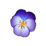 Flowers 3