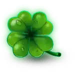 Four leaf clover