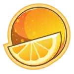 Fruit Shop Orange Symbol