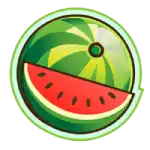 Fruit Shop Watermelon Symbol