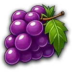 Fruits Fever Blitz - Grapes Symbol