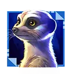 Full Moon White Thunder - Meerkat Symbol