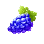 Sweet Rush Bonanza - Grapes Symbol