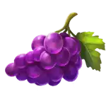 Grapes