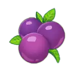 Cygnus 6 - Grapes Symbol