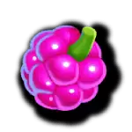 Wizzy Trix - Grapes Symbol