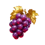 Grapes