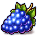 Queen of Coins - Grapes Symbol