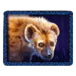 Hyena