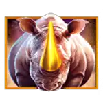 Rhino Wild