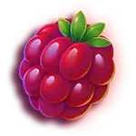 Happy Cappy - Raspberry Symbol