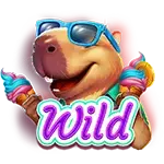 Happy Cappy - Wild Symbol