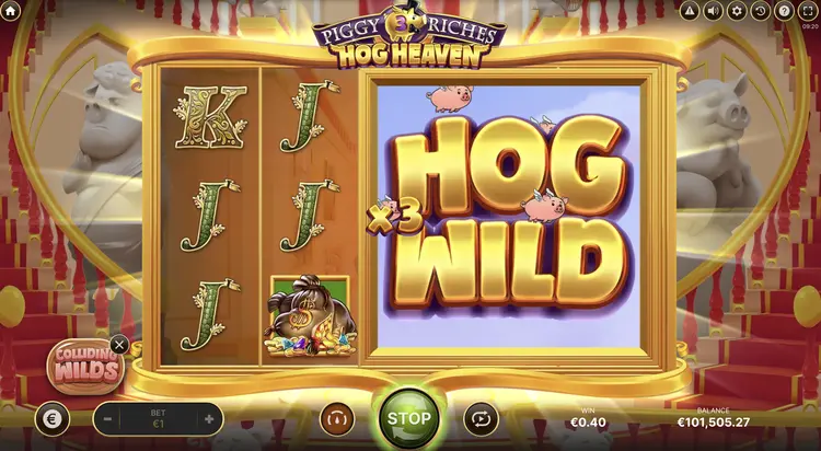 Hog Wild