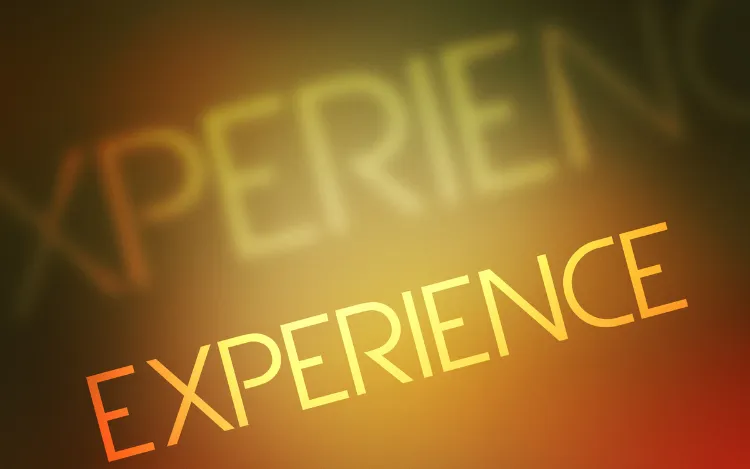 How Mechanics Shape the Volatility Experience