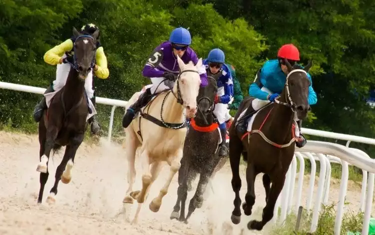 How Place Terms Are Determined