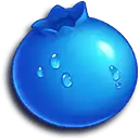 Blueberry 