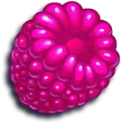Raspberry