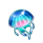 Jelly Fish