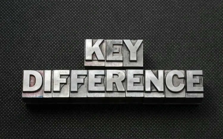 Key Differences Between Live and RNG Roulette