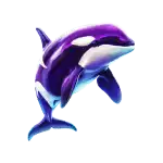 Killer Whale