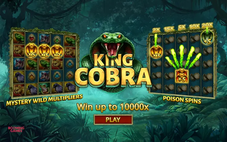 King Cobra - Feature