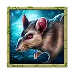 King Cobra - Rat Symbol