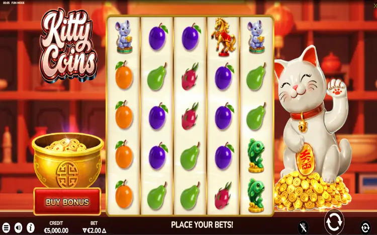 Kitty Coins - RTP and Wagering