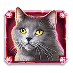Kitty Glitter Grand - Grey Cat Symbol