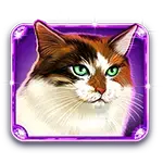 Kitty Glitter Grand - Patterned Cat Symbol