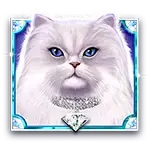 Kitty Glitter Grand - White Cat Symbol