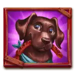 Labrador