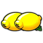 Sunset Reels - Lemon Symbol