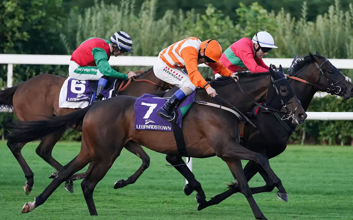 Leopardstown Dublin Racing Festival Betting Tips – Irish Champion Hurdle Day