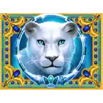 Lioness