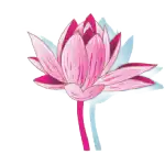 Lotus Flower