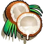 Mad Mad Monkey 2 - Coconut Symbol