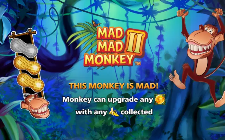 Mad Mad Monkey 2 - Feature