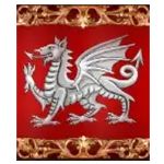Magician Merlin - Red Dragon Banner Symbol