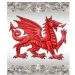 Magician Merlin - White Dragon Banner Symbol