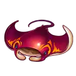Manta Ray