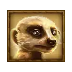 Rhino Rampage - Meerkat Symbol