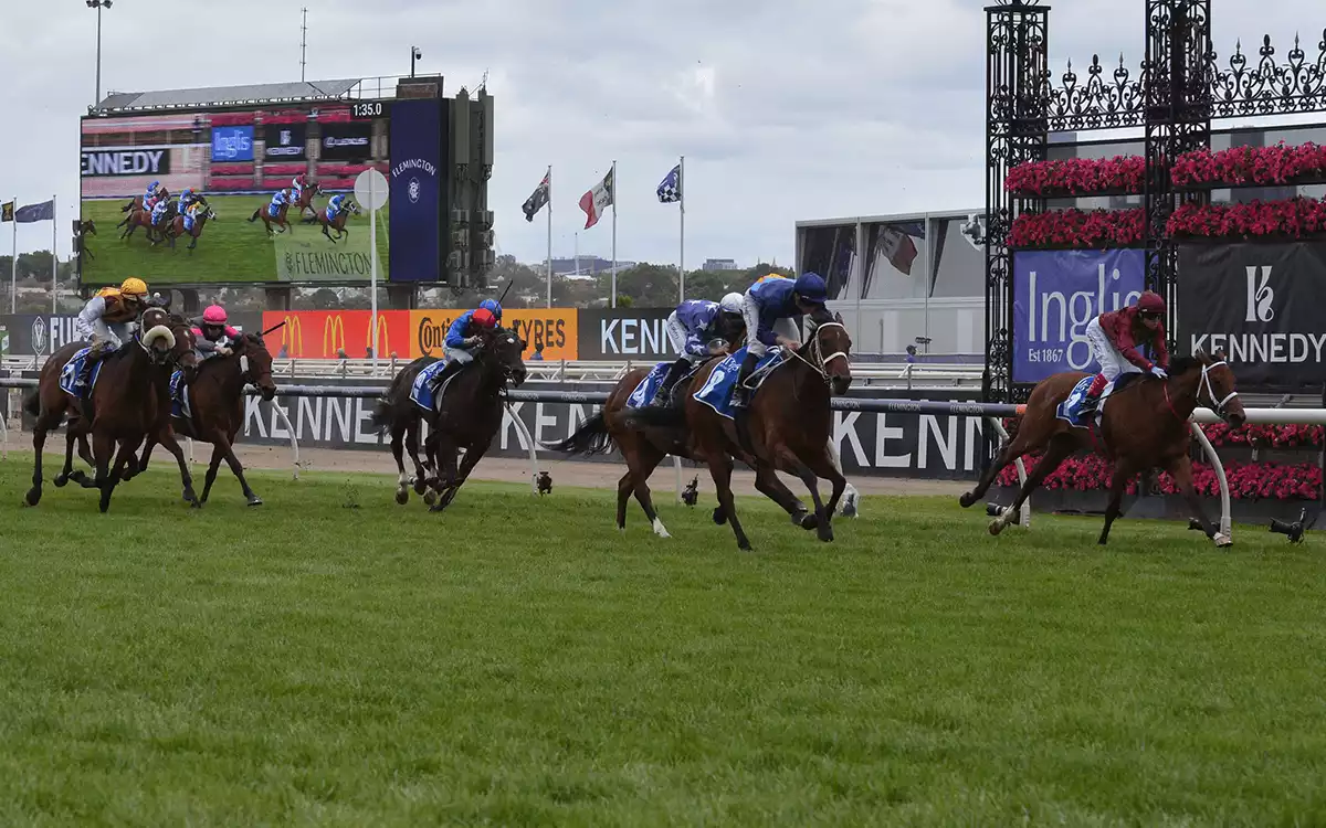 Melbourne Cup Betting Tips