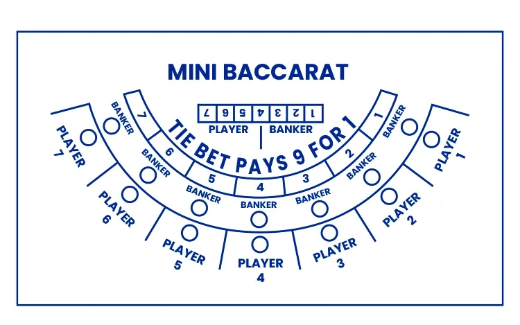 Mini Baccarat Table