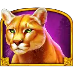 Wolf Gold 4 Pack - Mountain Lion Symbol