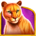 Mountain Lion