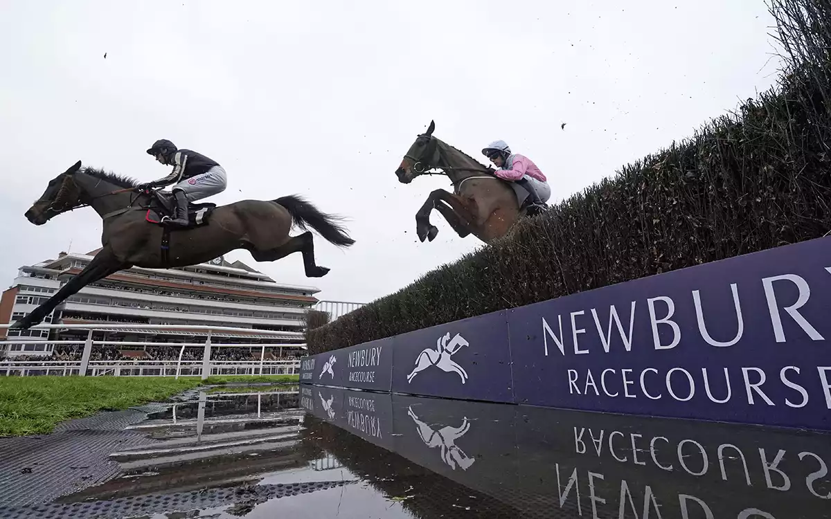 Greatwood Gold Cup Betting Tips - Handicap Steeple Chase, Newbury