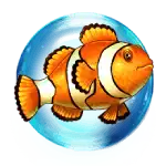 Orange Fish