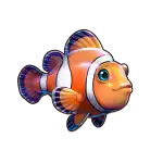 Orange and White fish